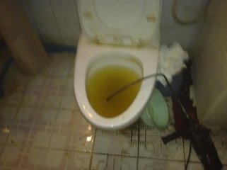 閔行春申疏通馬桶,都市路專業(yè)疏通馬桶