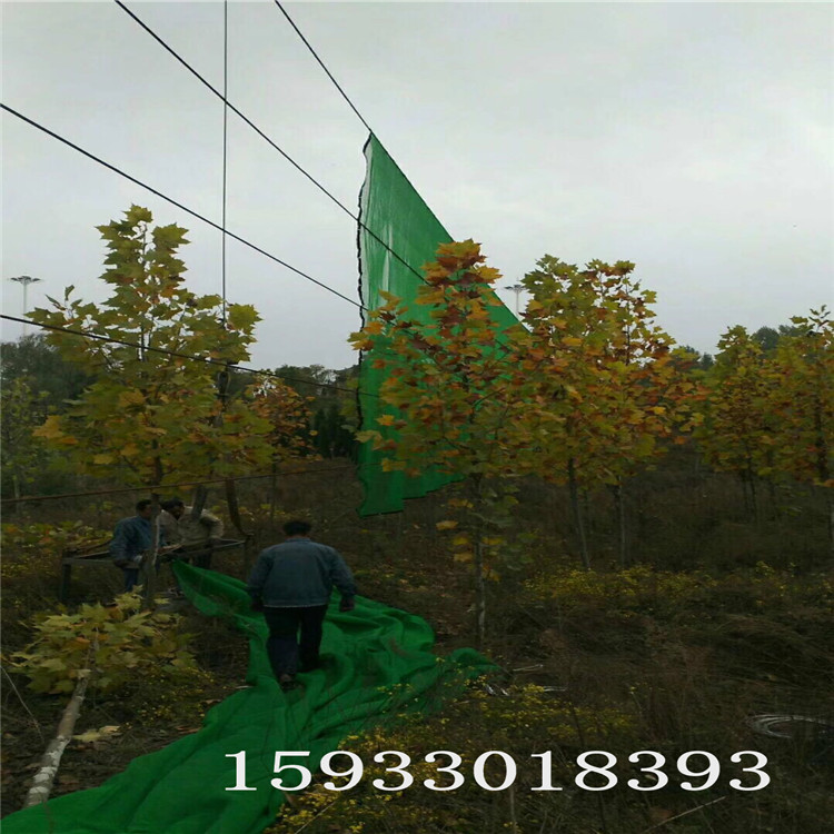 建筑防風(fēng)網(wǎng)廠家 儲(chǔ)煤場(chǎng)防風(fēng)網(wǎng) 高速公路防風(fēng)網(wǎng) 建筑工地防風(fēng)網(wǎng)