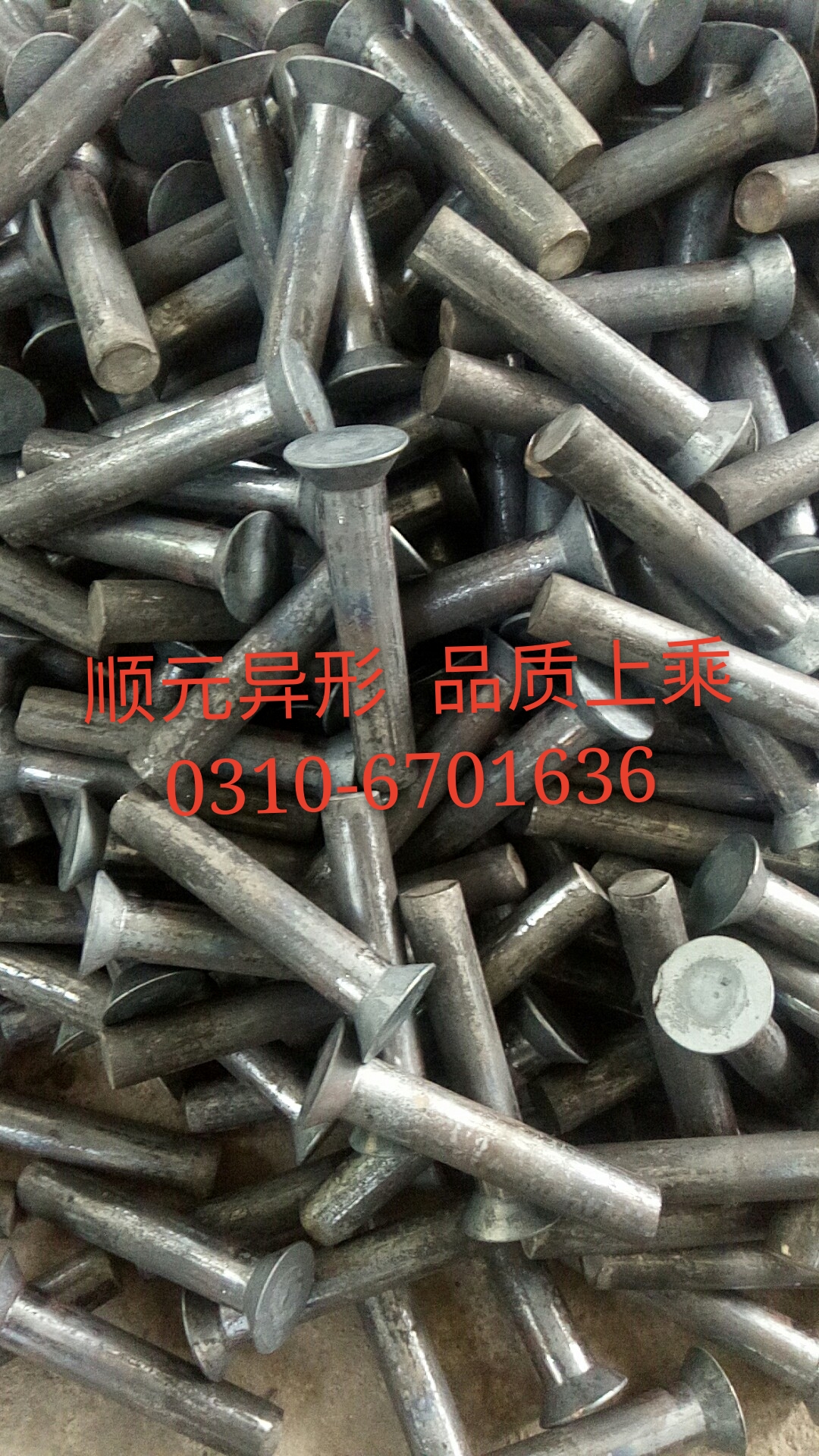 沉頭螺栓 供應(yīng)沉頭螺栓