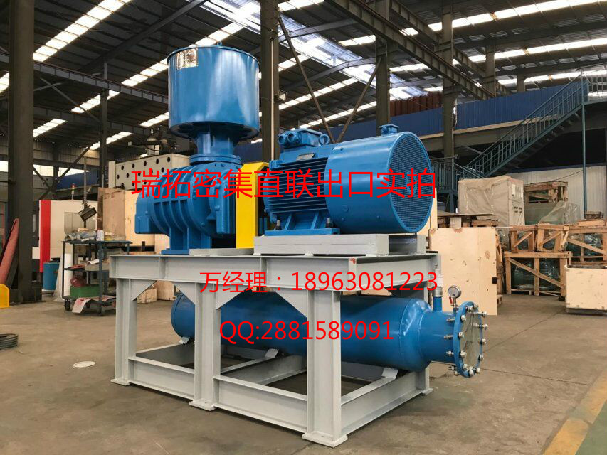 現(xiàn)貨供應(yīng)曝氣風(fēng)機(jī)RTSR水處理羅茨鼓風(fēng)機(jī)廠家