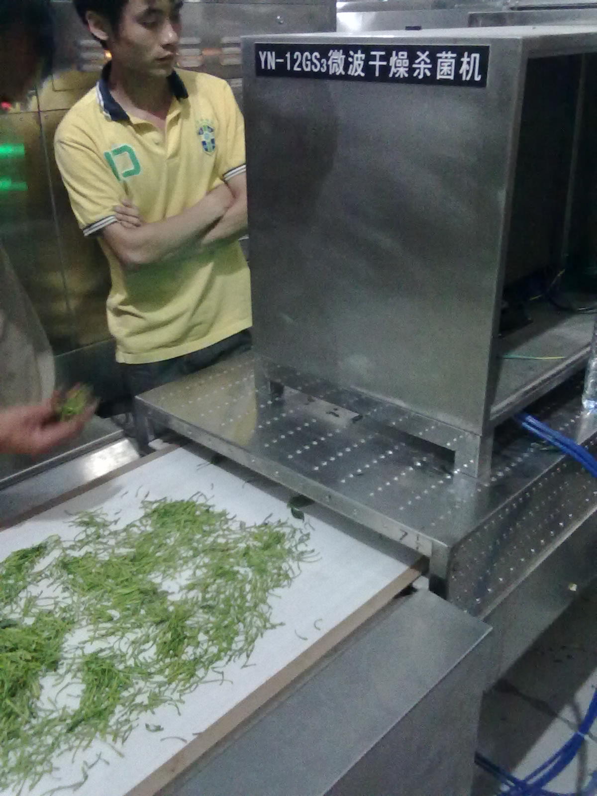 供應微波金銀花殺青干燥設備金銀花殺青干燥機金銀花殺青干燥設備 微波金銀花殺青烘干設備