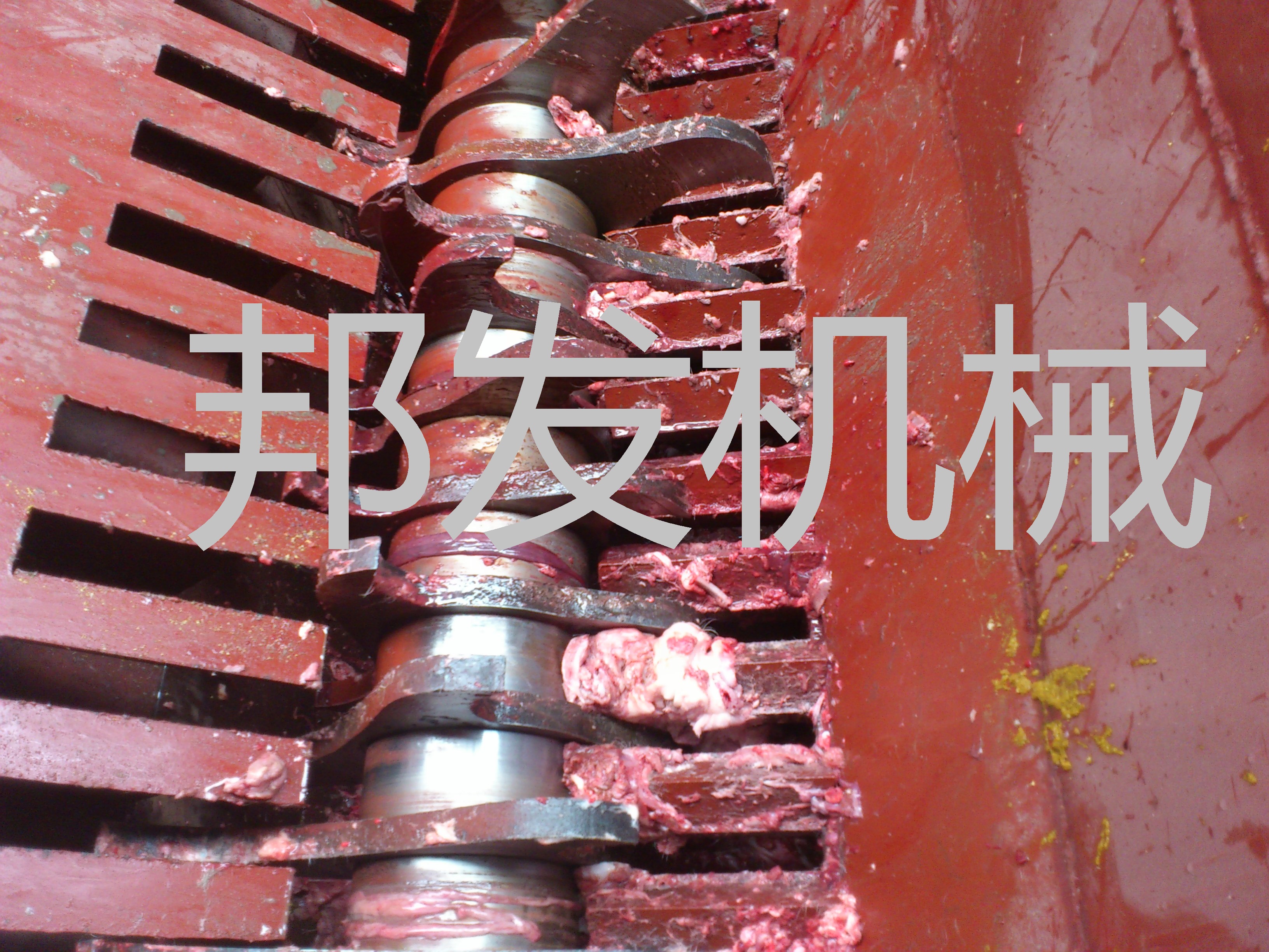 江蘇死雞破碎機(jī) 江蘇死豬破碎機(jī)