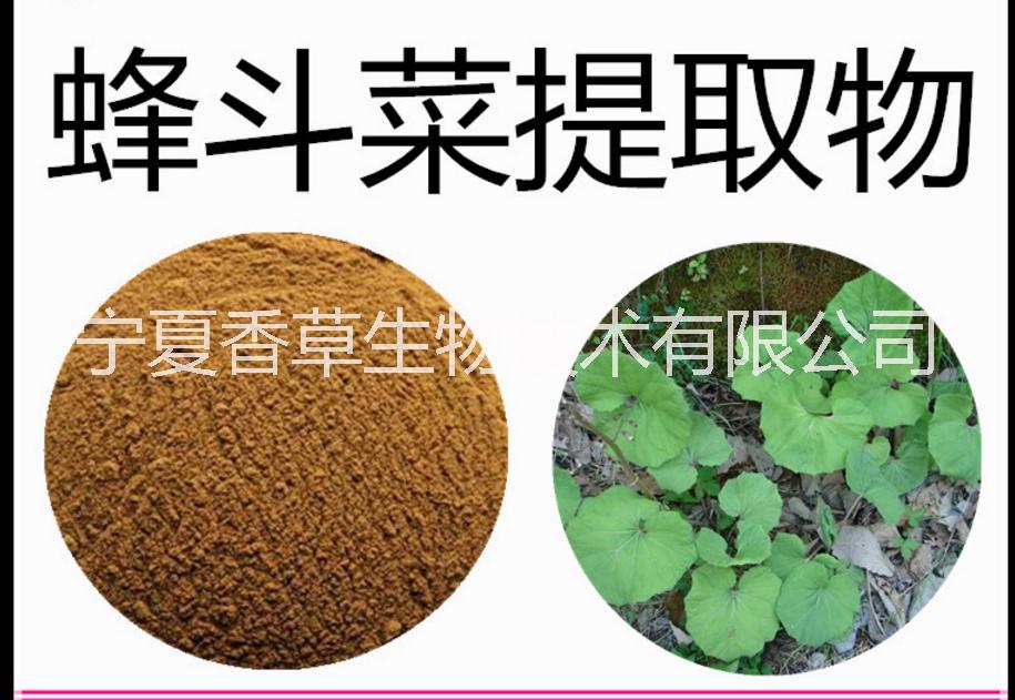 蜂斗菜提取物 蜂斗菜素價(jià)格 廣東菜心速溶粉 救心菜粉養(yǎng)心菜提取物 款冬花提取液根菜多糖/烏袍根提取物/黃袍果粉五葉草梅