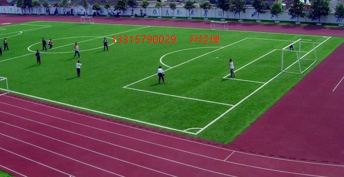 人造草坪球場草坪廠家施工