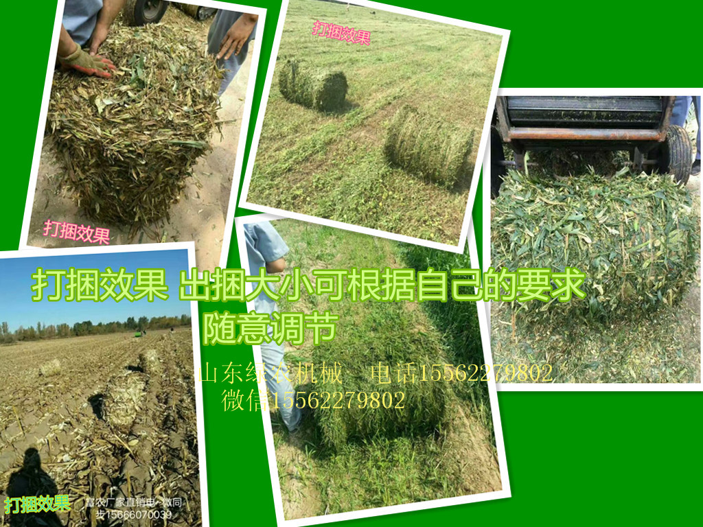 山東綠農(nóng)秸稈粉碎打捆機(jī)供應(yīng)商、價(jià)格  秸稈粉碎打捆機(jī)批發(fā) 秸稈粉碎打捆機(jī)廠家 秸稈粉碎打捆機(jī)價(jià)格  秸稈粉碎打捆機(jī)