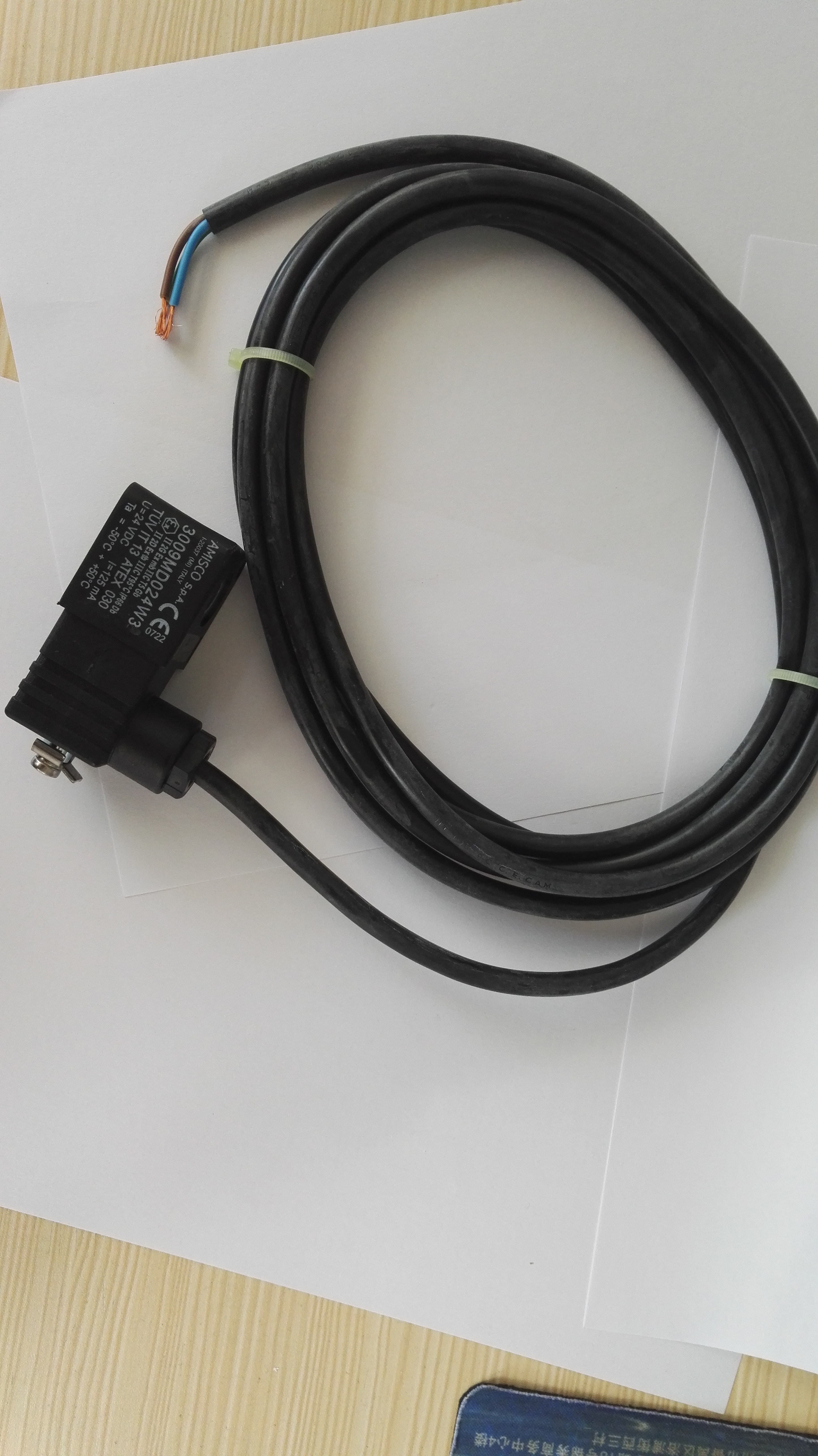 意大利*AMISCO澆封隔