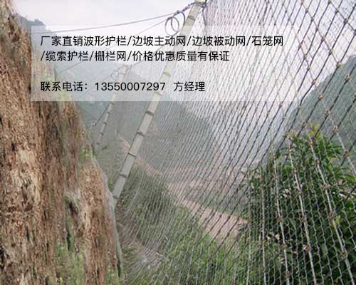 落石攔截被動防護(hù)網(wǎng)-成都被動防護(hù)網(wǎng)生產(chǎn)廠家-一手價格保證質(zhì)量