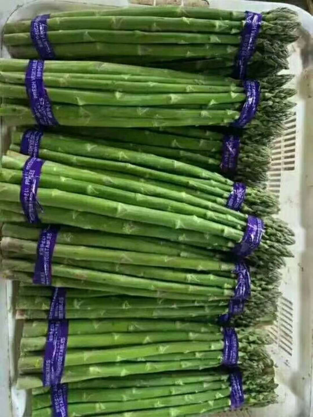蘆冠一號f1-蘆筍種子，高產(chǎn)蘆筍種子