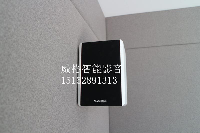 家庭影院*品牌, 受歡迎的*品牌家庭影院