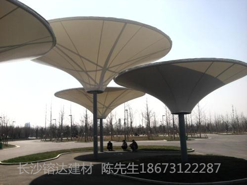 長沙膜結(jié)構(gòu)景觀車棚       膜結(jié)構(gòu)景觀          膜結(jié)構(gòu)景觀工程        膜結(jié)構(gòu)景觀設計