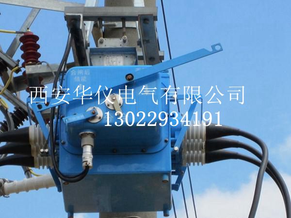 西安FZW28-12柱上分界開關(guān)廠家現(xiàn)貨