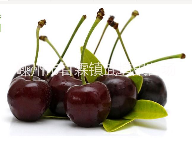 黑珍珠   黑珍珠櫻桃苗購買 嵊州黑珍珠櫻桃苗銷售價格 嵊州黑珍珠櫻桃苗生產(chǎn)