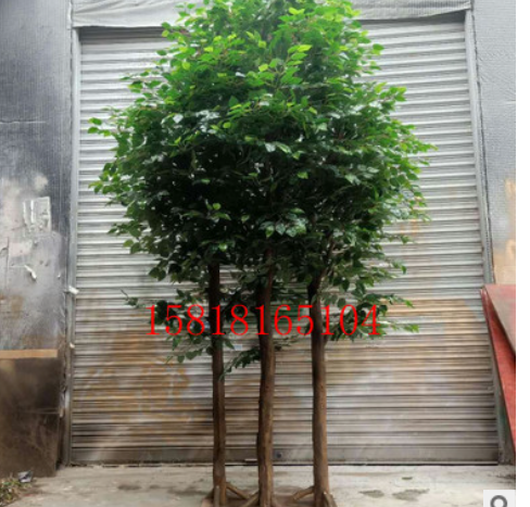 廣州榕樹(shù)植物盆景廠家直銷(xiāo)  廣東榕樹(shù)盆栽報(bào)價(jià) 廣州仿真榕樹(shù)供貨商 榕樹(shù)植物盆景廠家