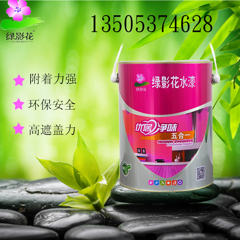 內(nèi)墻凈味漆*去除異味 保護(hù)墻面水性漆