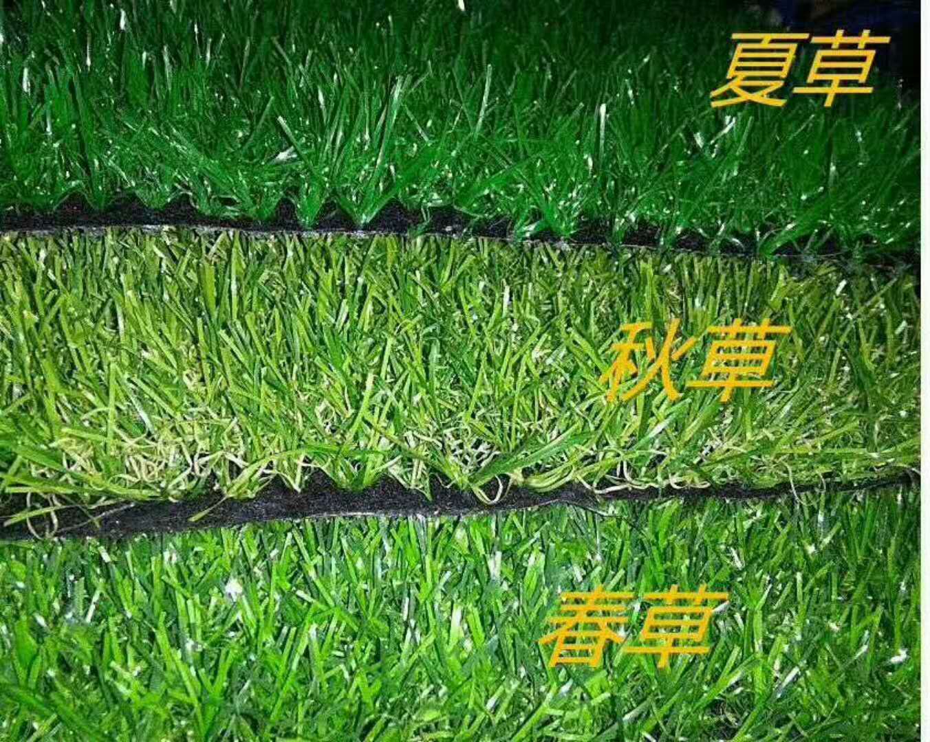 仿真草坪行情 仿真草坪廠家 仿真草坪供應 仿真草坪供應商 仿真草坪報價 仿真草坪生產 四川仿真草坪