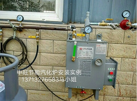 供應(yīng)丙烷氣化器電熱式汽化器 丙烷電熱式汽化器