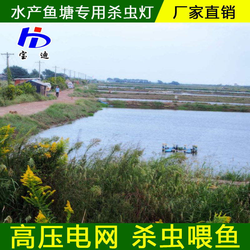 太陽能殺蟲燈廠家，頻振式殺蟲燈生產(chǎn)廠家果園農(nóng)場*