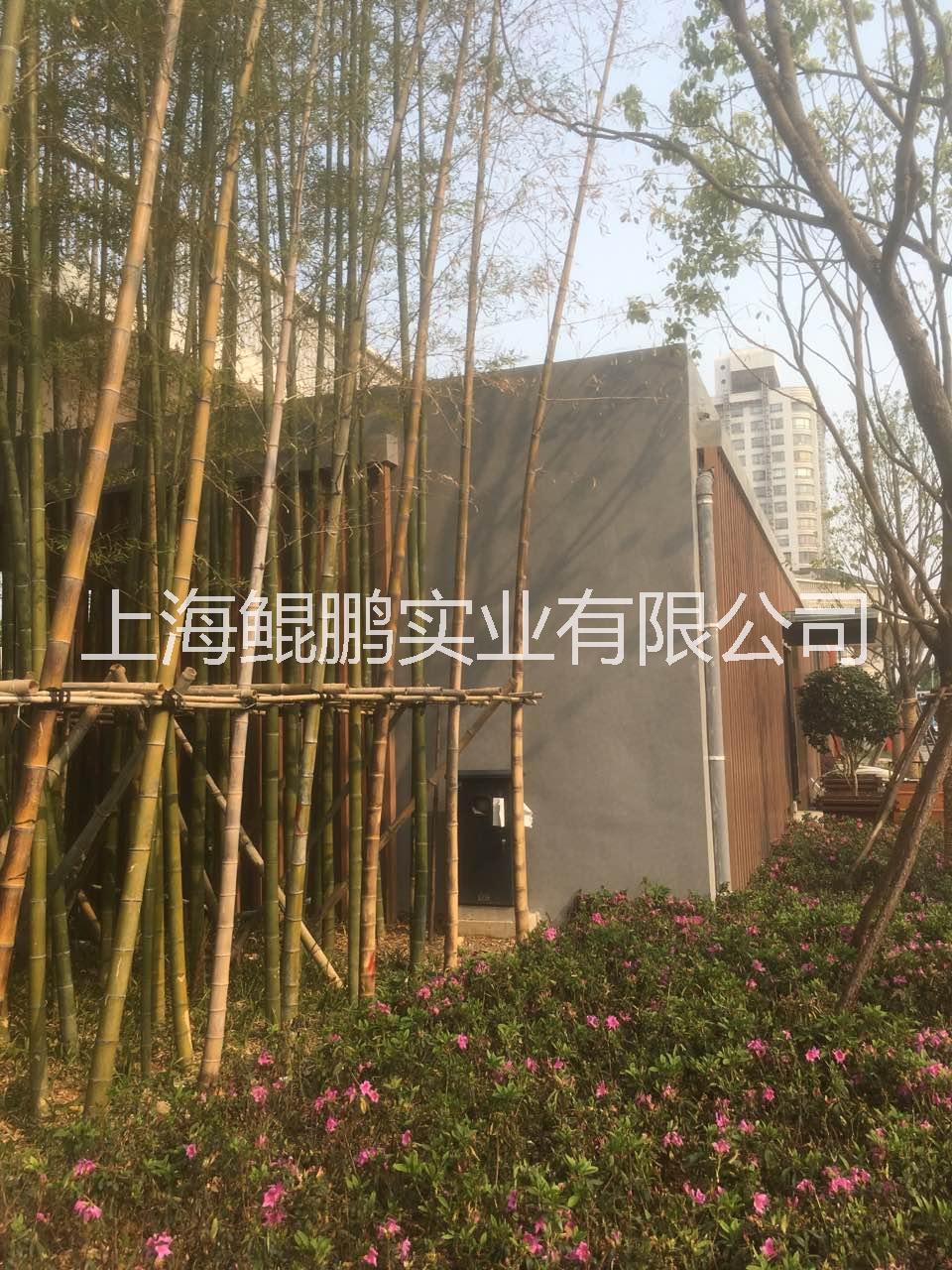 清水混凝土涂料