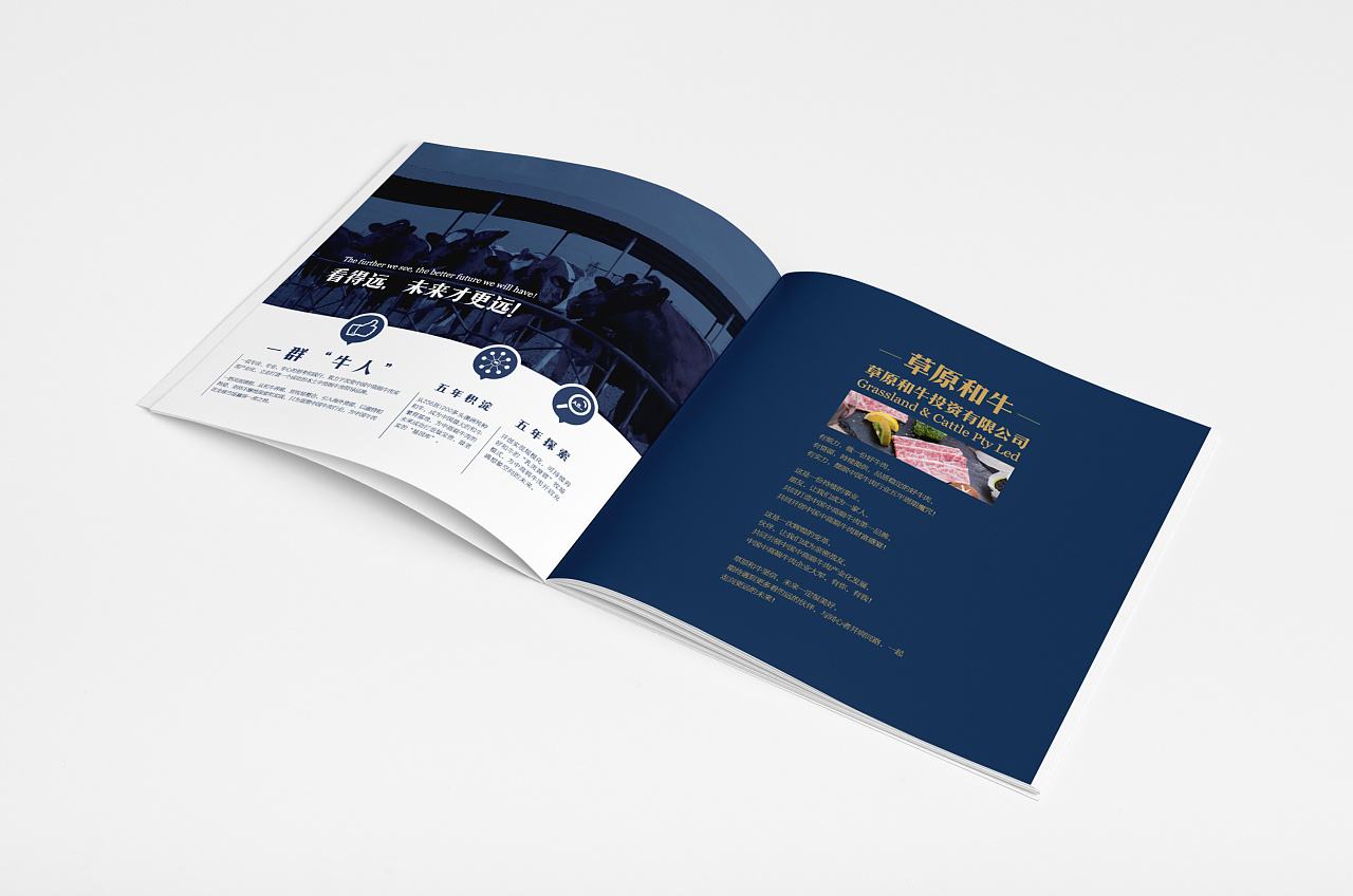 平面設(shè)計 企業(yè)畫冊設(shè)計 折頁設(shè)計