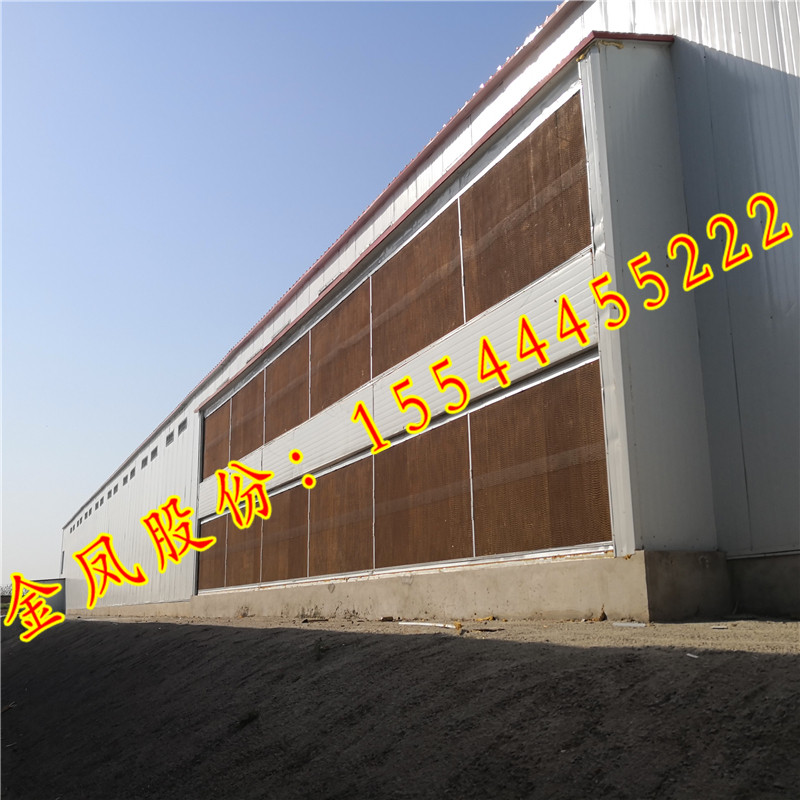 金鳳雞籠_3層階梯式雞籠設備_金鳳3層階梯式蛋雞籠