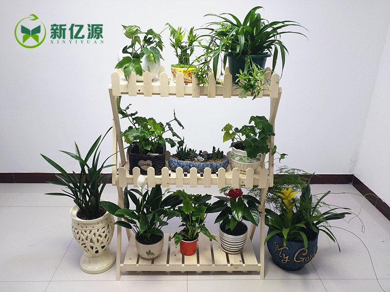 木質(zhì)花架、多層陽臺花架