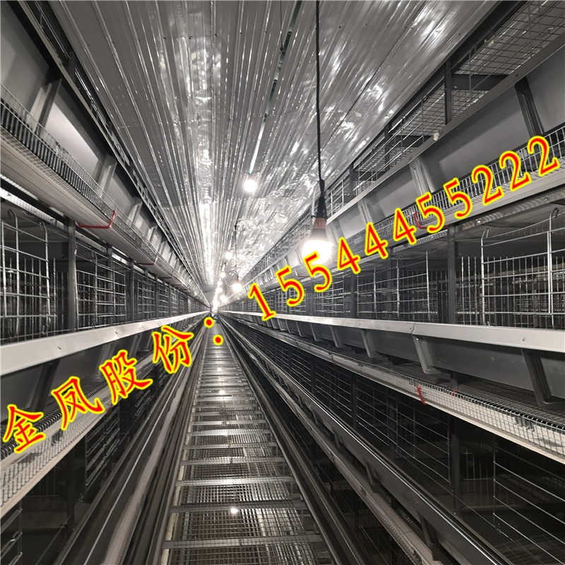 河南金鳳層疊式蛋雞籠養(yǎng)設(shè)備 自動化蛋雞籠