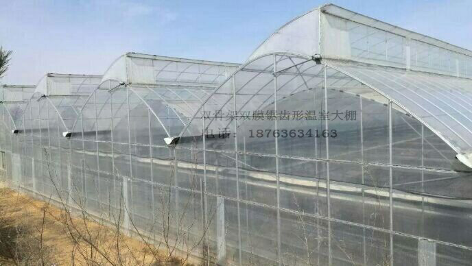 哈爾濱  哈爾濱 恒溫智能溫室大棚育苗室節(jié)能日光溫室大棚