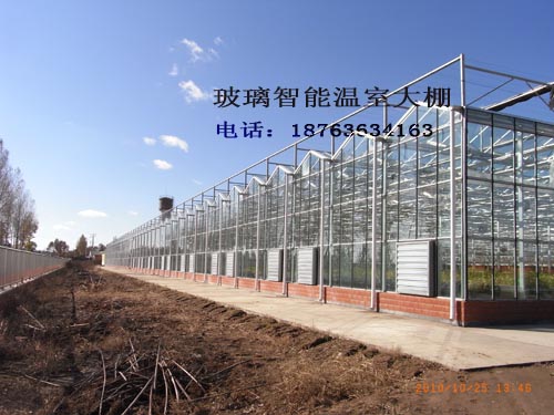廊坊霸州 廊坊霸州恒溫智能溫室大棚育苗室恒溫智能溫室大棚育苗室連棟溫室大棚