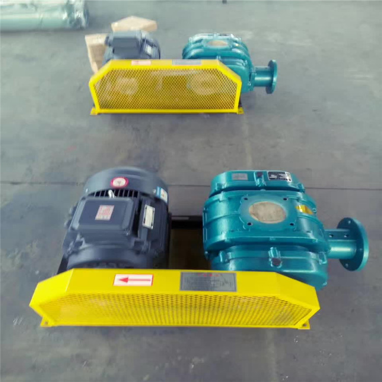 成都優(yōu)質(zhì)曝氣設(shè)備羅茨風(fēng)機(jī)價(jià)格,羅茨風(fēng)機(jī)廠家