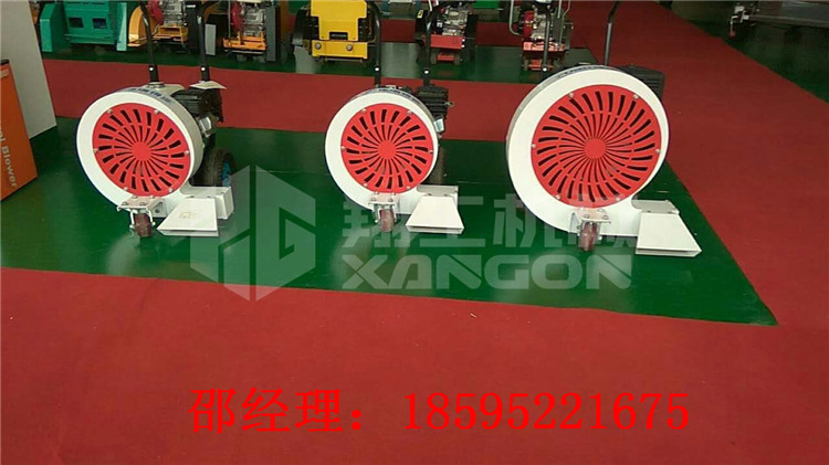 山東園林吹樹葉吹風(fēng)機(jī)廠家 河南吹風(fēng)機(jī)圖片 清縫機(jī) 馬路吹風(fēng)機(jī)
