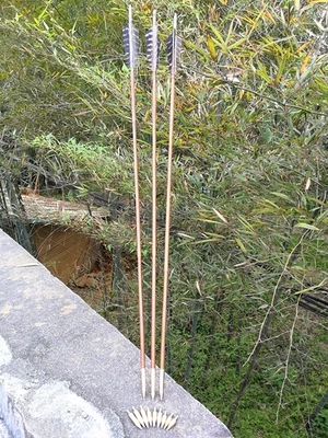 風(fēng)飛體育 通節(jié)竹箭 傳統(tǒng)弓 箭 箭支 射箭器材 新品上市