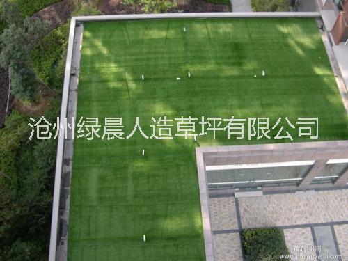屋頂綠化草坪 屋頂鋪設綠晨仿真草坪的可行性及好處人造草坪樓頂綠化防曬隔熱假草皮