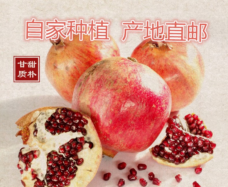 石榴采購(gòu) 吃石榴軟化血管 石榴全國(guó)包郵 *石榴好在哪兒 石榴樹(shù)苗價(jià)格 送外地朋友的特產(chǎn) 果樹(shù)苗