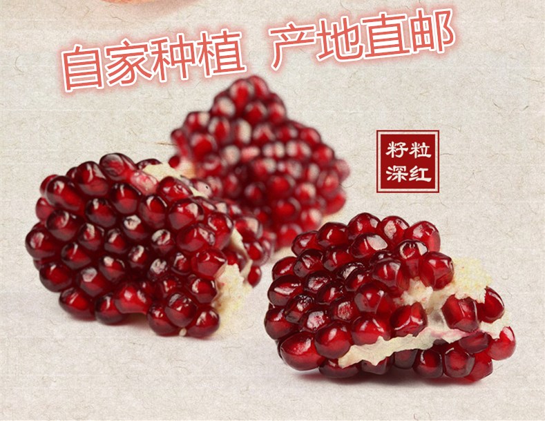 石榴采購(gòu) 吃石榴軟化血管 石榴全國(guó)包郵 *石榴好在哪兒 石榴樹(shù)苗價(jià)格 送外地朋友的特產(chǎn) 果樹(shù)苗