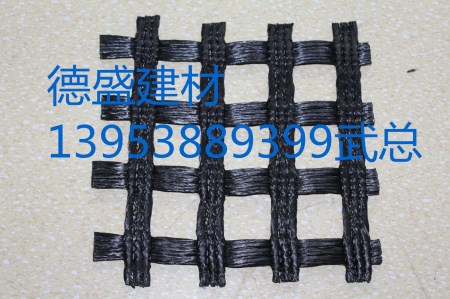 滌綸土工格柵廠家 泰安直銷(xiāo)土工格柵 *惠