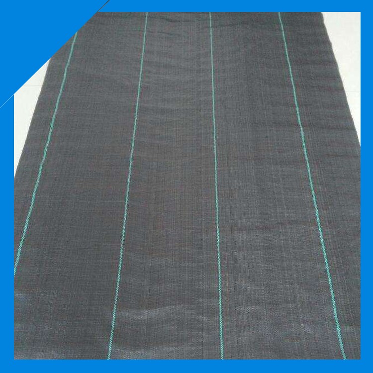 PE編織布防草布