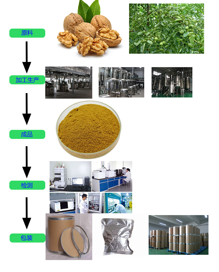 核桃仁提取物、提取物、植物提取物、核桃提取物