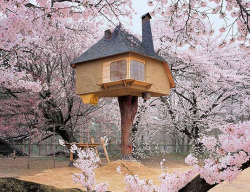 裝配式樹屋 樹屋木屋報(bào)價(jià) 樹屋木屋設(shè)計(jì)  高端樹屋定制（*酒店）度假村樹屋，風(fēng)景區(qū)樹屋