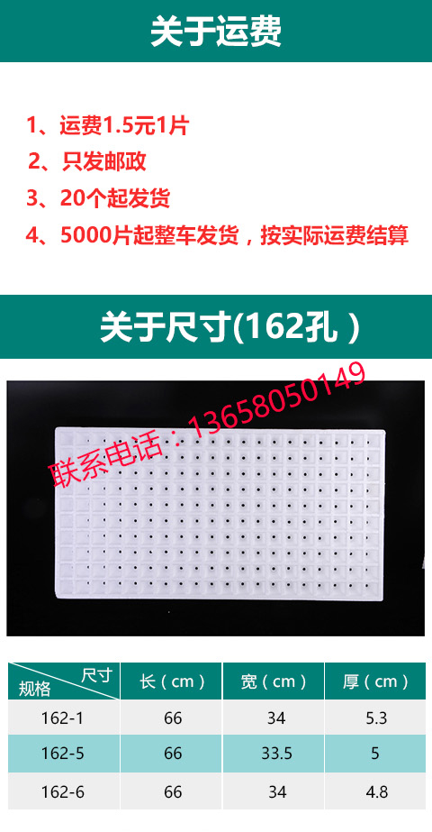 162孔高密度蔬菜*泡沫漂浮育