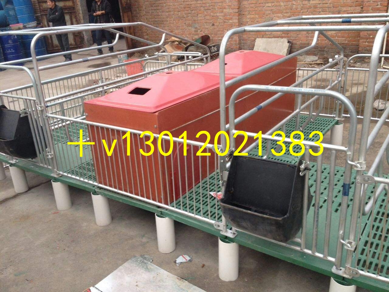 自動(dòng)化養(yǎng)豬設(shè)備廠供應(yīng)復(fù)合板母豬產(chǎn)床母豬定位欄