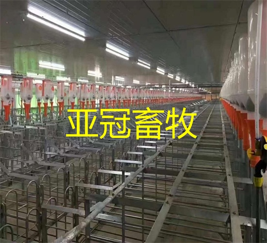 自動化養(yǎng)豬設(shè)備自動化料線專業(yè)安裝設(shè)計自動化料線自動化上料系統(tǒng) 自動化養(yǎng)豬設(shè)備自動化料線的好處