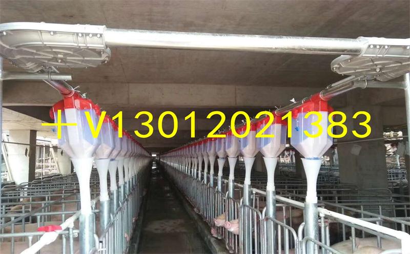 自動化養(yǎng)豬設(shè)備自動化料線專業(yè)安裝設(shè)計自動化料線自動化上料系統(tǒng) 自動化養(yǎng)豬設(shè)備自動化料線的好處