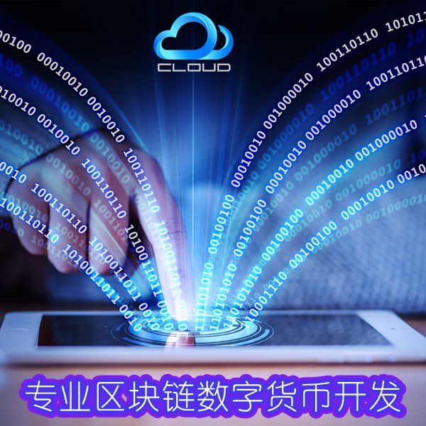 深圳直銷軟件公司數(shù)字貨幣結(jié)算系統(tǒng)虛擬幣直銷系統(tǒng)開發(fā)