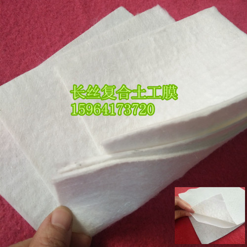 長(zhǎng)絲復(fù)合土工膜 垃圾填埋場(chǎng)覆蓋防水長(zhǎng)絲復(fù)合膜