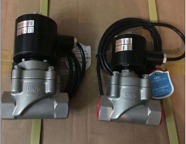 AF01B燃氣電磁閥