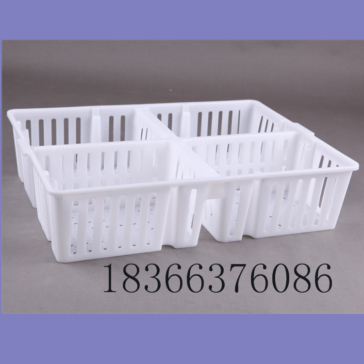 雞苗筐 鴨苗筐 四格雞苗箱