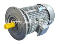 YXJ系列電動機  YXJ系列電動機供應(yīng)商 YXJ系列擺線針輪減速機*三相異步電動機