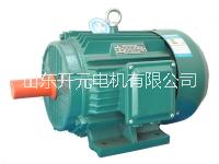 YZSB系列電動機 YZSB系列電動機供應商 YZSB系列直驅式水泵*三相異步電動機