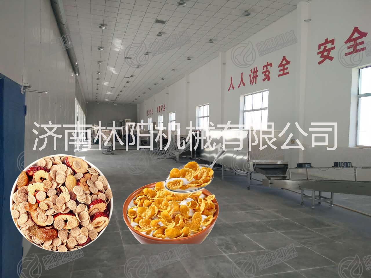 青稞麥片生產(chǎn)設備濟南林陽膨化機械早餐麥片生產(chǎn)線
