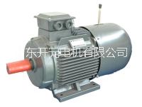 YEJ系列電動機  YEJ系列電動機供應(yīng)商  YEJ系列電磁制動三相異步電動機
